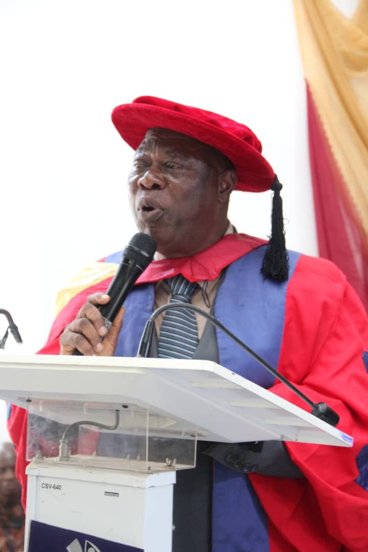 Declare  State of Emmergency in Power Sector, University Don Tells FG