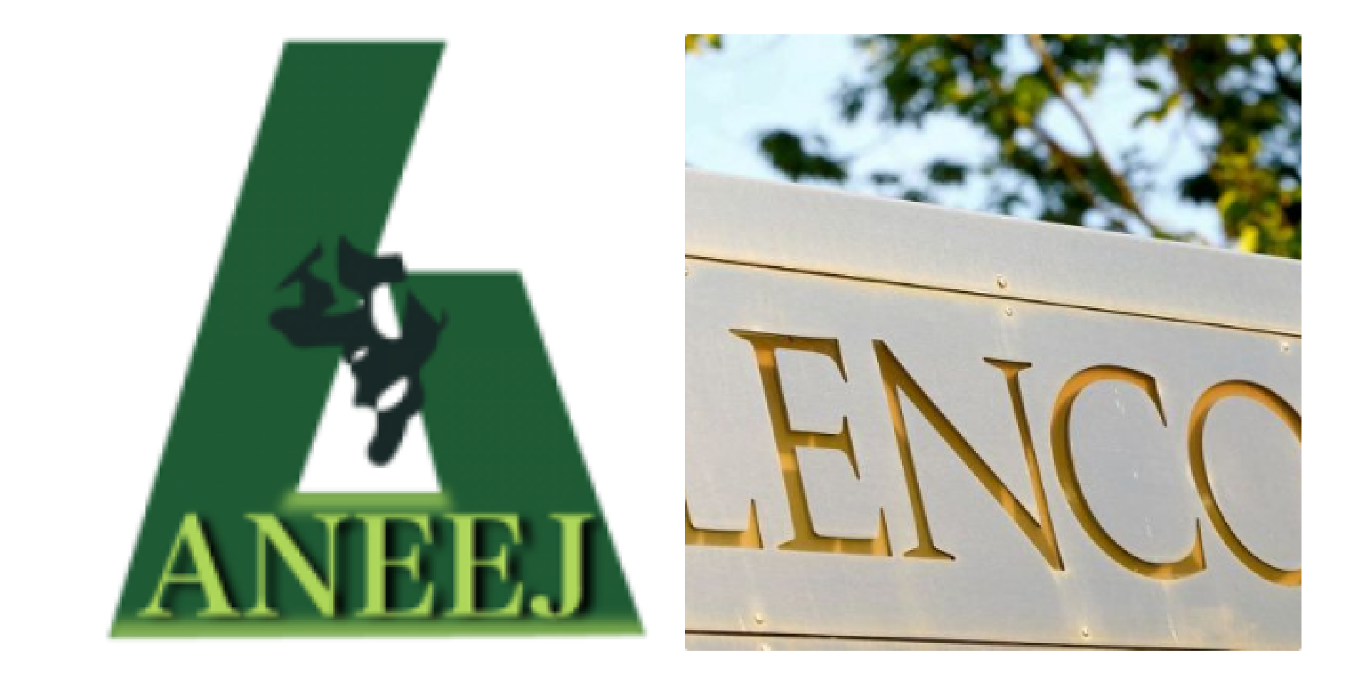 ANEEJ Applauds UK Over Prosecution of Glencore Bribe Payers