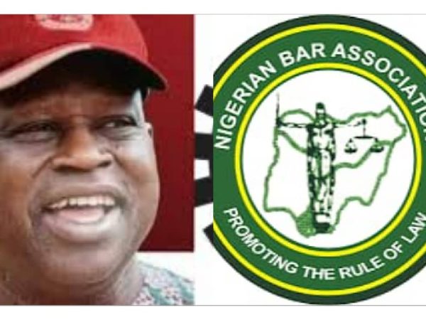 Eboigbodin’s Death at Police Checkpoint: NBA Condemns Hassement