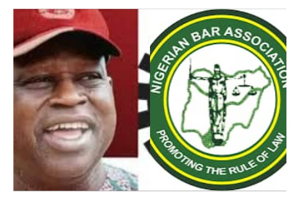 Eboigbodin’s Death at Police Checkpoint: NBA Condemns Hassement