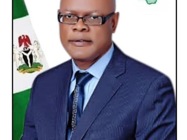 Okpebholo Redeploys EBS MD, Appoints Alenkhe Acting Managing Director