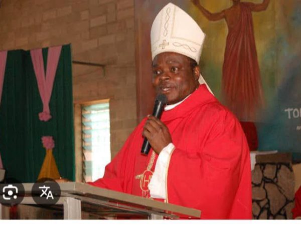 Bishop Donatus Ogun Appointed Apostolic Administrator of Benin Archdiocese