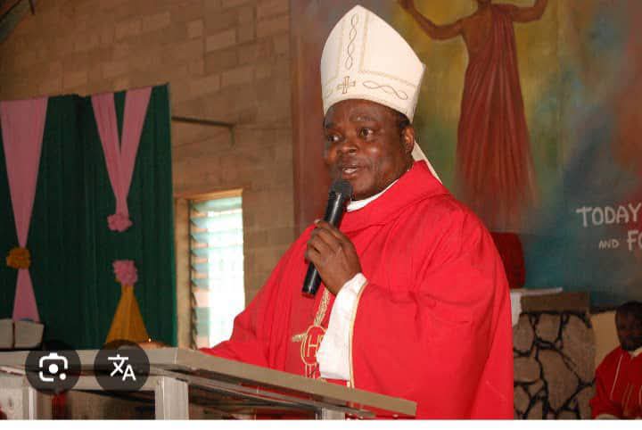 Bishop Donatus Ogun Appointed Apostolic Administrator of Benin Archdiocese